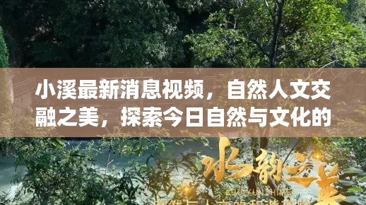 小溪最新消息视频，自然人文交融之美，探索今日自然与文化的和谐共鸣