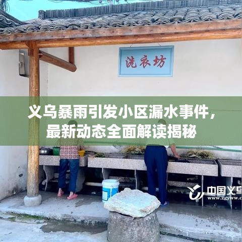 义乌暴雨引发小区漏水事件，最新动态全面解读揭秘