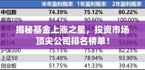 揭秘基金上涨之星，投资市场顶尖公司排名榜单！