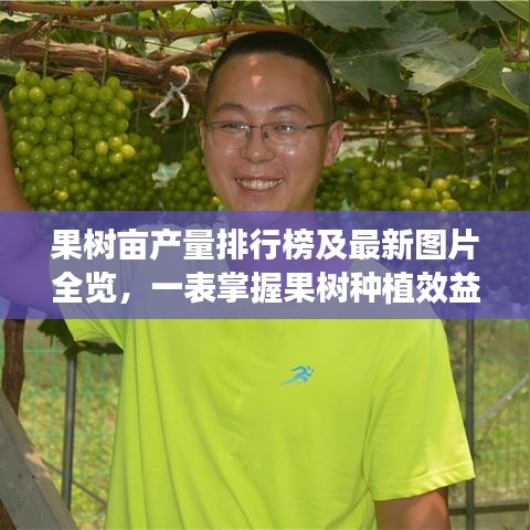 果树亩产量排行榜及最新图片全览，一表掌握果树种植效益！