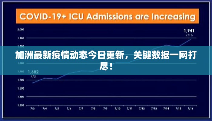 加洲最新疫情动态今日更新，关键数据一网打尽！