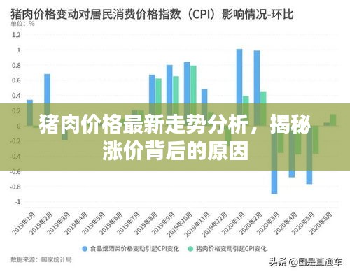 猪肉价格最新走势分析，揭秘涨价背后的原因