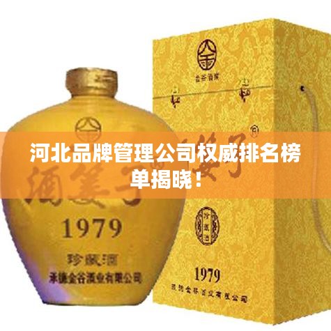 河北品牌管理公司权威排名榜单揭晓！