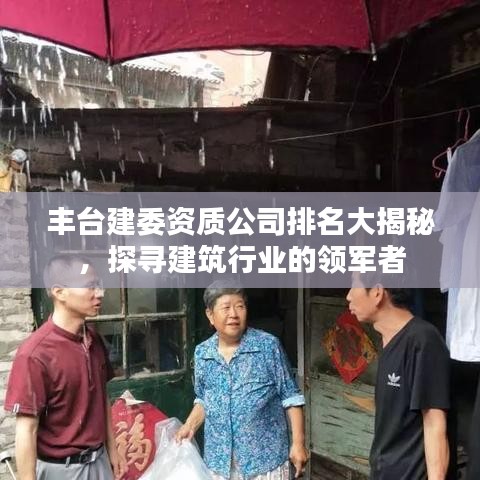 丰台建委资质公司排名大揭秘，探寻建筑行业的领军者