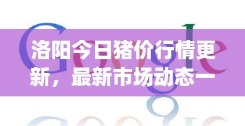 洛阳今日猪价行情更新，最新市场动态一网打尽