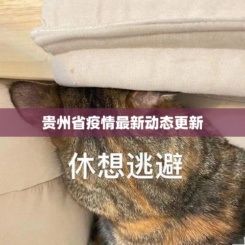 贵州省疫情最新动态更新