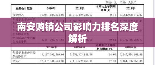 南安购销公司影响力排名深度解析