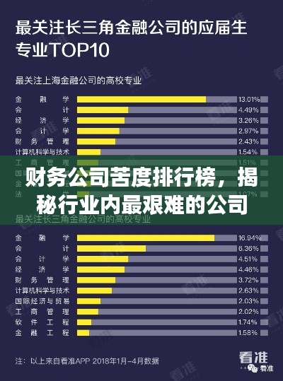 财务公司苦度排行榜，揭秘行业内最艰难的公司TOP榜单