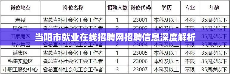 当阳市就业在线招聘网招聘信息深度解析