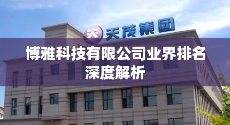 博雅科技有限公司业界排名深度解析