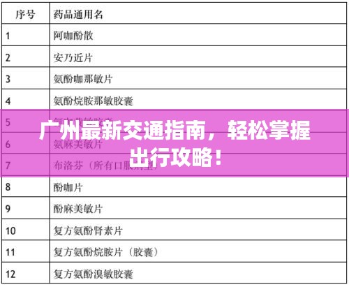 广州最新交通指南，轻松掌握出行攻略！