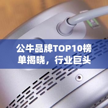 公牛品牌TOP10榜单揭晓，行业巨头背后的力量揭秘