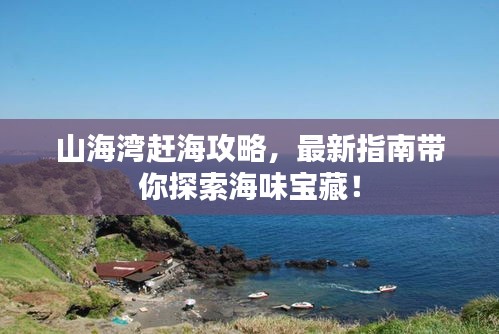 山海湾赶海攻略，最新指南带你探索海味宝藏！