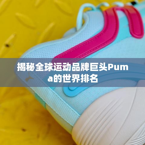 揭秘全球运动品牌巨头Puma的世界排名