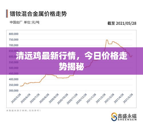 清远鸡最新行情，今日价格走势揭秘