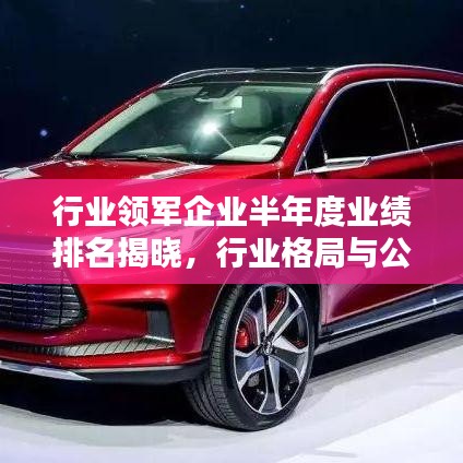 行业领军企业半年度业绩排名揭晓，行业格局与公司实力大揭秘！