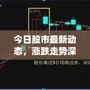 今日股市最新动态，涨跌走势深度解析
