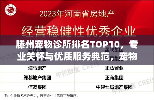 滕州宠物诊所排名TOP10，专业关怀与优质服务典范，宠物健康守护之选