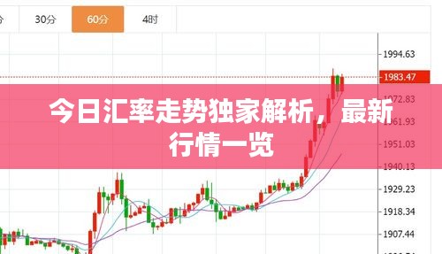 今日汇率走势独家解析，最新行情一览