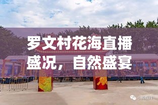 罗文村花海直播盛况，自然盛宴与数字时代的完美融合动态