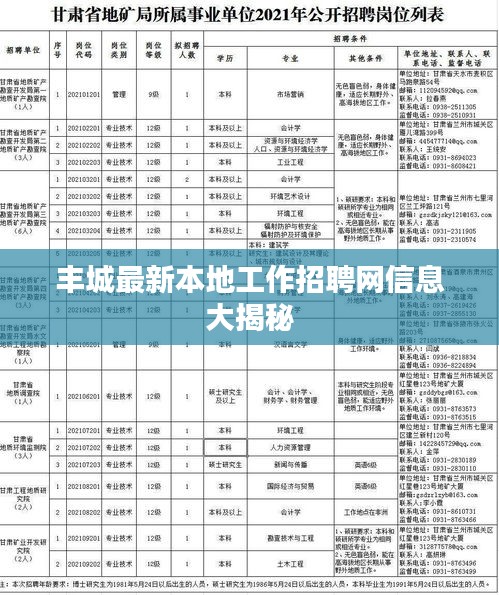 丰城最新本地工作招聘网信息大揭秘