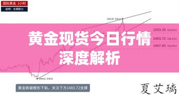 黄金现货今日行情深度解析