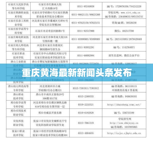 重庆黄海最新新闻头条发布