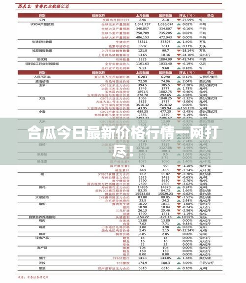 合瓜今日最新价格行情一网打尽！