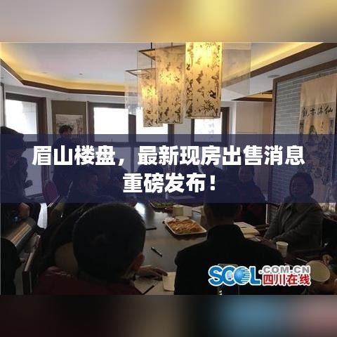 眉山楼盘，最新现房出售消息重磅发布！