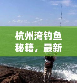 杭州湾钓鱼秘籍，最新攻略，一网打尽！