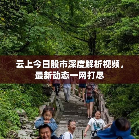 云上今日股市深度解析视频，最新动态一网打尽