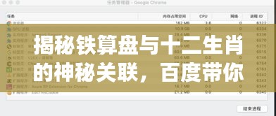 揭秘铁算盘与十二生肖的神秘关联，百度带你探寻答案