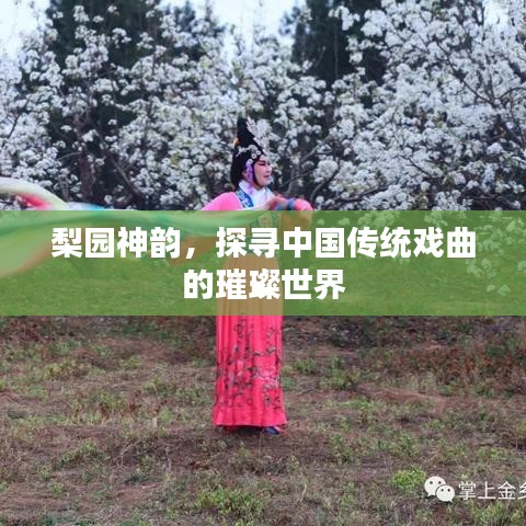 梨园神韵，探寻中国传统戏曲的璀璨世界
