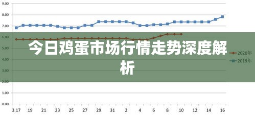 今日鸡蛋市场行情走势深度解析