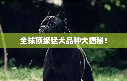 普度众生