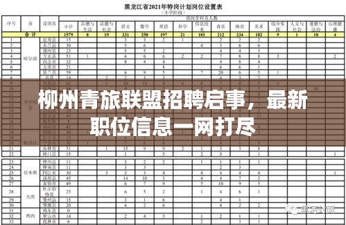 柳州青旅联盟招聘启事，最新职位信息一网打尽