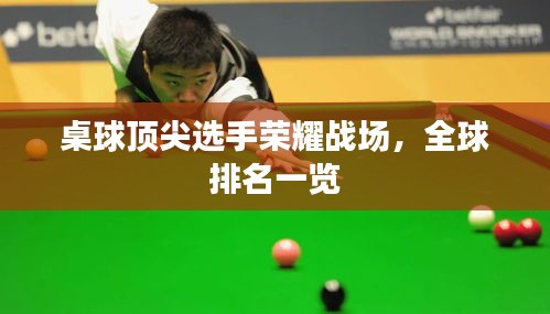 桌球顶尖选手荣耀战场，全球排名一览