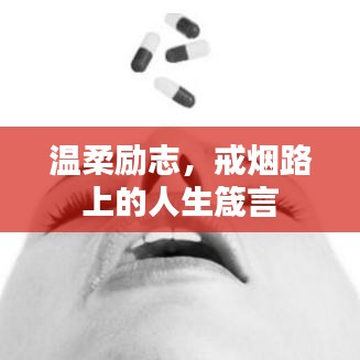 温柔励志，戒烟路上的人生箴言