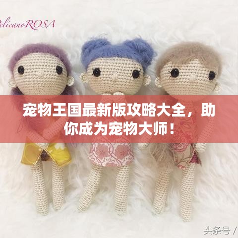 宠物王国最新版攻略大全，助你成为宠物大师！