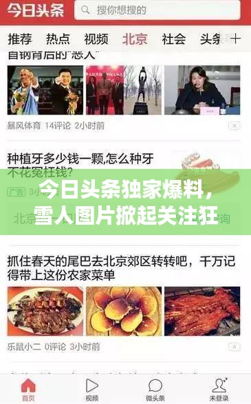 今日头条独家爆料，雪人图片掀起关注狂潮！