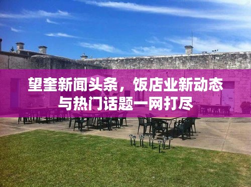 望奎新闻头条，饭店业新动态与热门话题一网打尽