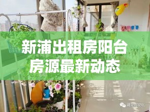 荆钗布裙