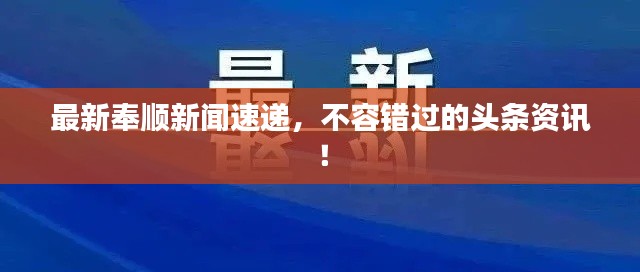 龙飞凤舞