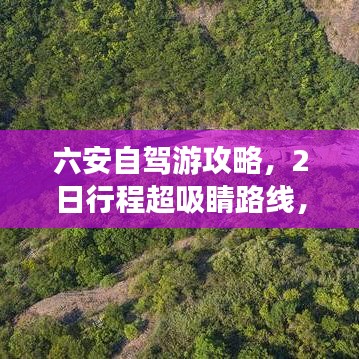 眼张失道