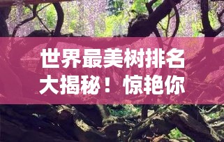 世界最美树排名大揭秘！惊艳你的视觉盛宴！