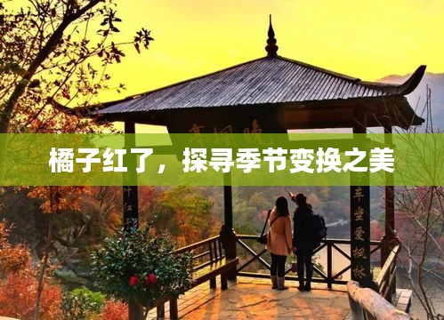 绝无仅有