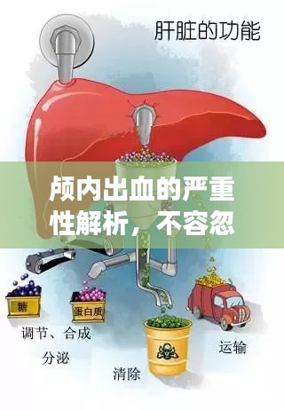 颅内出血的严重性解析，不容忽视的健康警示