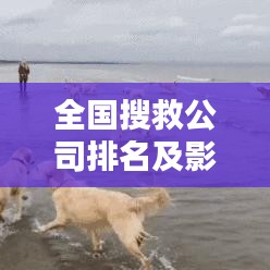 全国搜救公司排名及影响力深度解析