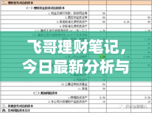 飞哥理财笔记，今日最新分析与策略解读